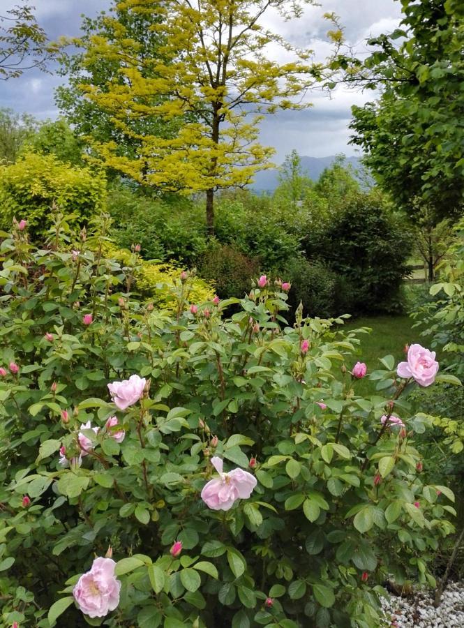 Casa Delle Arti Fattoria Dei Fiori Villa Sospirolo Buitenkant foto