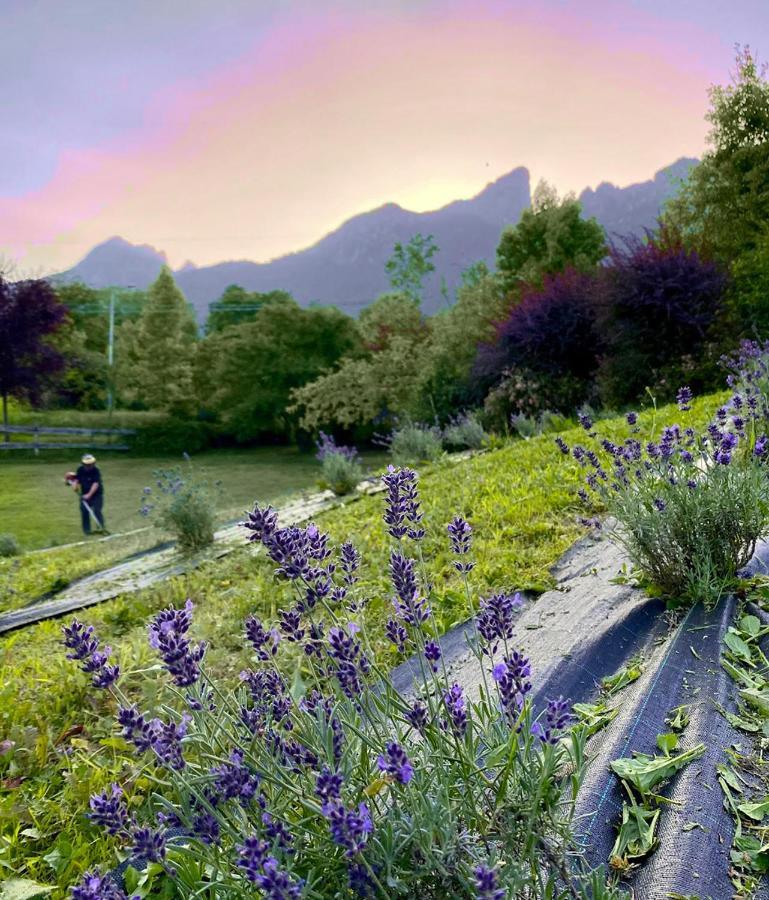 Casa Delle Arti Fattoria Dei Fiori Villa Sospirolo Buitenkant foto