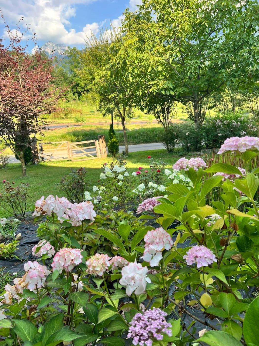 Casa Delle Arti Fattoria Dei Fiori Villa Sospirolo Buitenkant foto