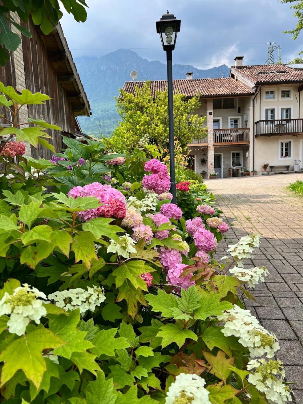 Casa Delle Arti Fattoria Dei Fiori Villa Sospirolo Buitenkant foto